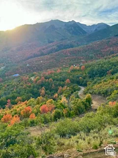 Mountainous terrain featuring diverse foliage, including broadleaf trees with seasonal color