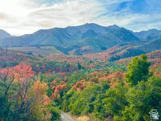 Mountain landscape featuring a distant range and a valley filled with diverse trees, displaying a variety of green, orange, and red foliage