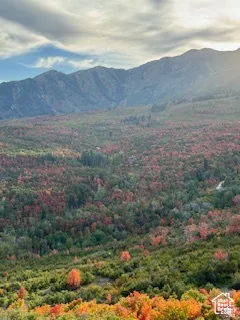 Mountainous landscape with expansive fall foliage