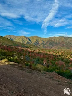 Expansive mountain scenery with a varied tree line displaying seasonal color