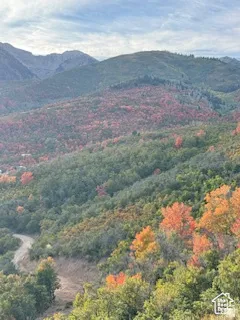 Mountainous terrain featuring diverse foliage, a visible dirt path, and a broad expanse of natural landscape
