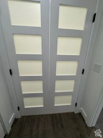 Frosted glass panel doors with dark hardware, set against wood-finish flooring