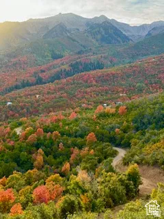Expansive mountain landscape featuring varied fall foliage and a winding dirt road