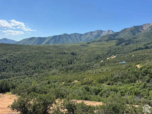 Expansive mountain landscape featuring dense green foliage, distant peaks, and a clear blue sky
