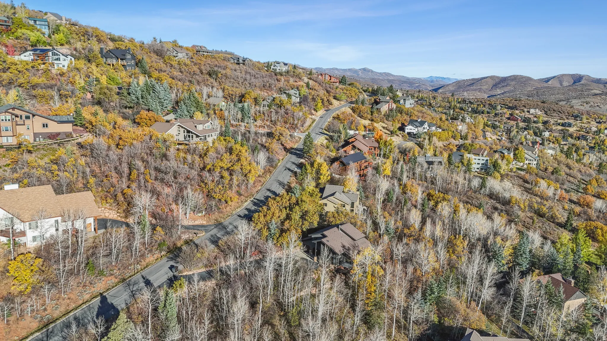 Hillside residences with varied architectural styles, surrounded by dense deciduous and evergreen trees displaying autumn foliage