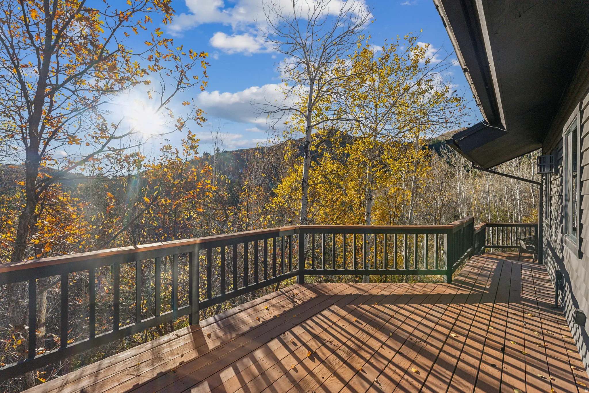 Expansive outdoor deck with wood flooring and dark wood railings, surrounded by mature trees