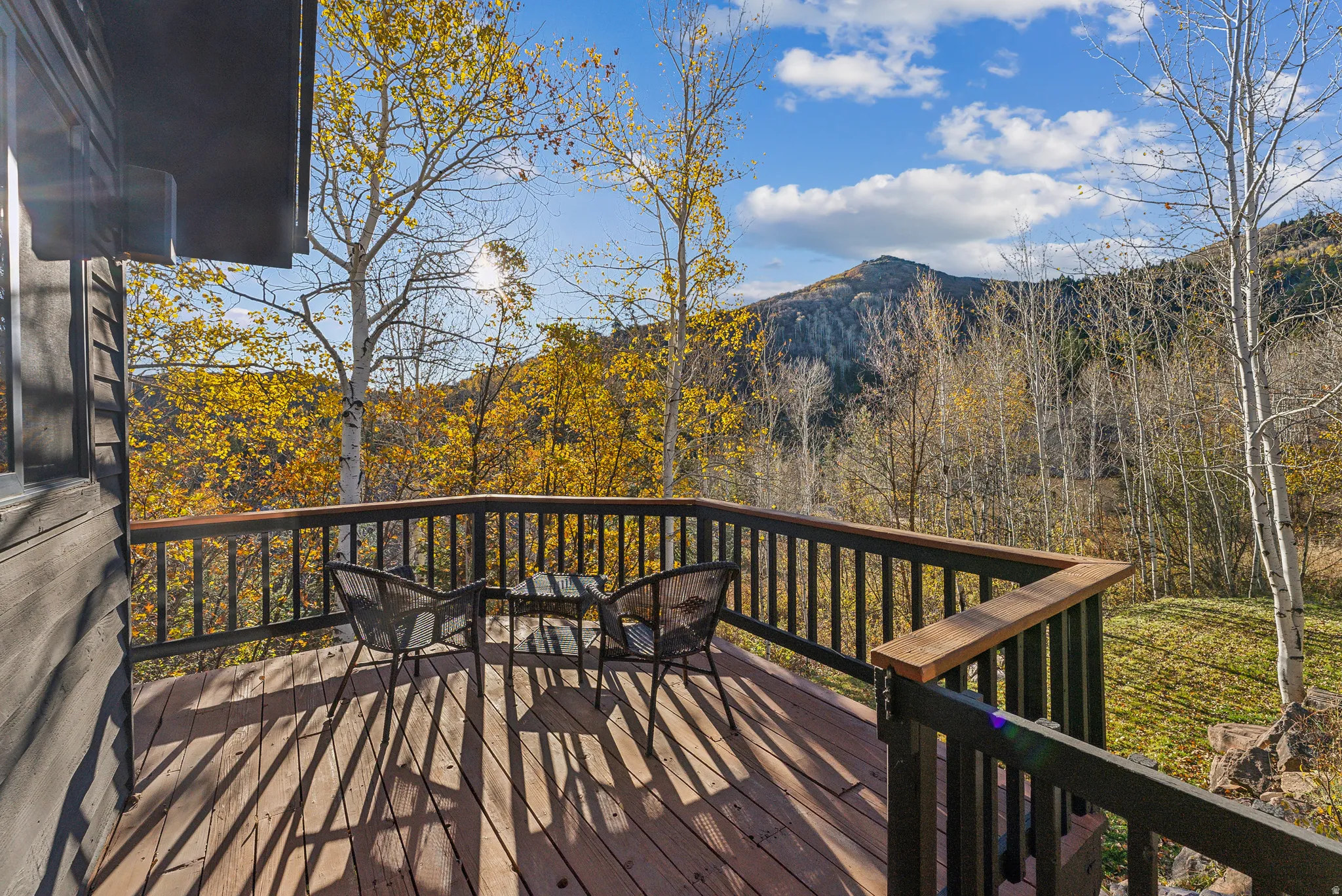 Expansive deck featuring wood-finish decking and dark railings