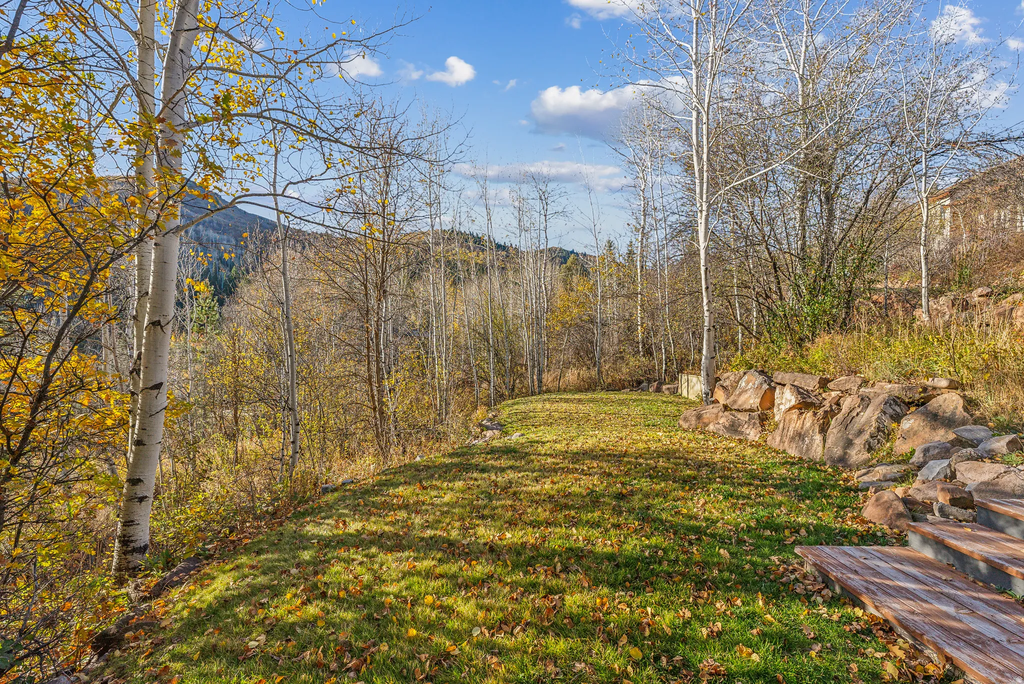 Terraced yard with a grass lawn, surrounding deciduous trees, and a mountain backdrop