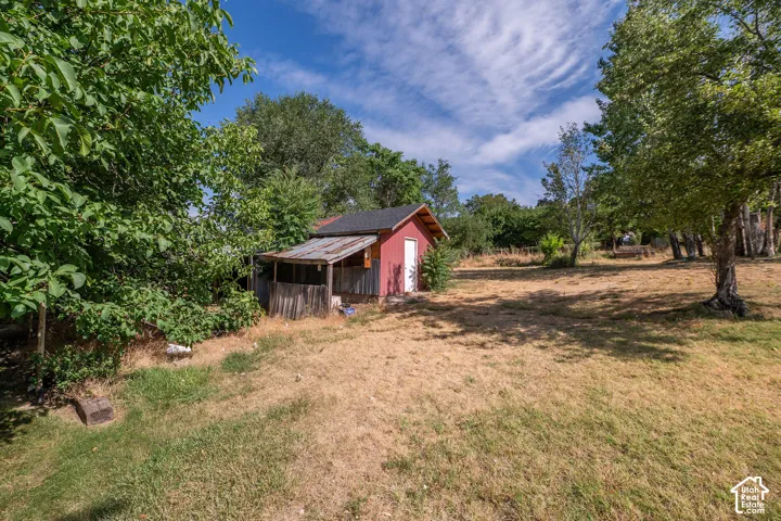 Backyard with Shed