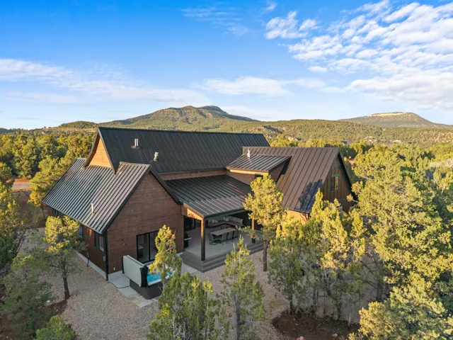 Contemporary residence featuring a dark wood siding exterior and a metal roof