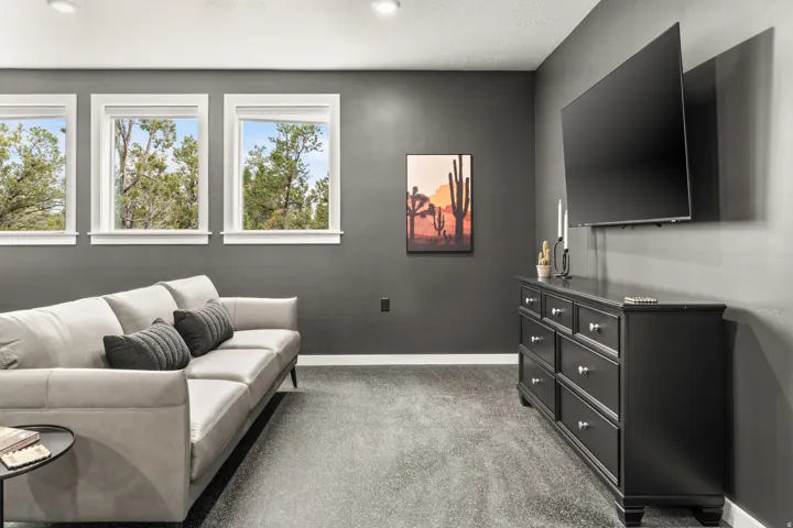 Game room with couch and TV