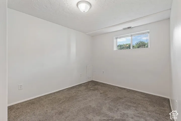 Windowed interior space featuring neutral wall paint, gray carpeting, a flush-mount ceiling light, and white trim