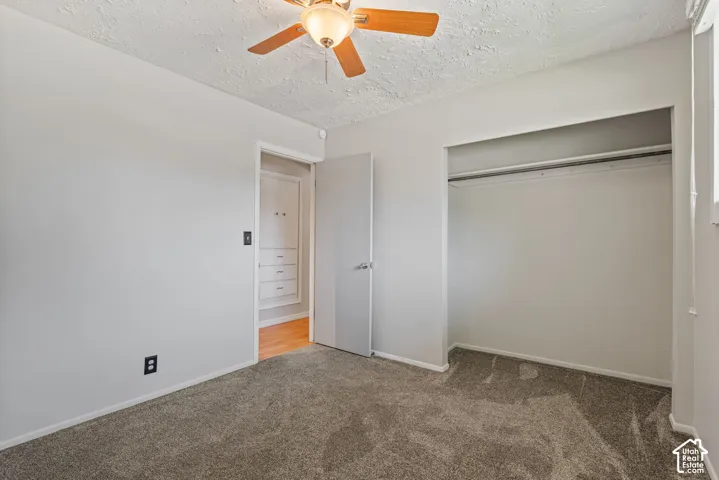 Carpeted room featuring a ceiling fan with light fixture, an open closet with clothes rod, and a doorway revealing built-in cabinetry and wood-finish flooring