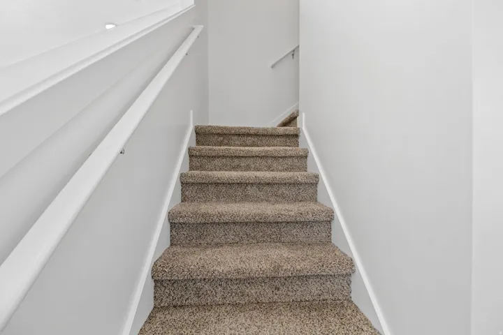 Carpeted staircase with light gray walls and white handrails