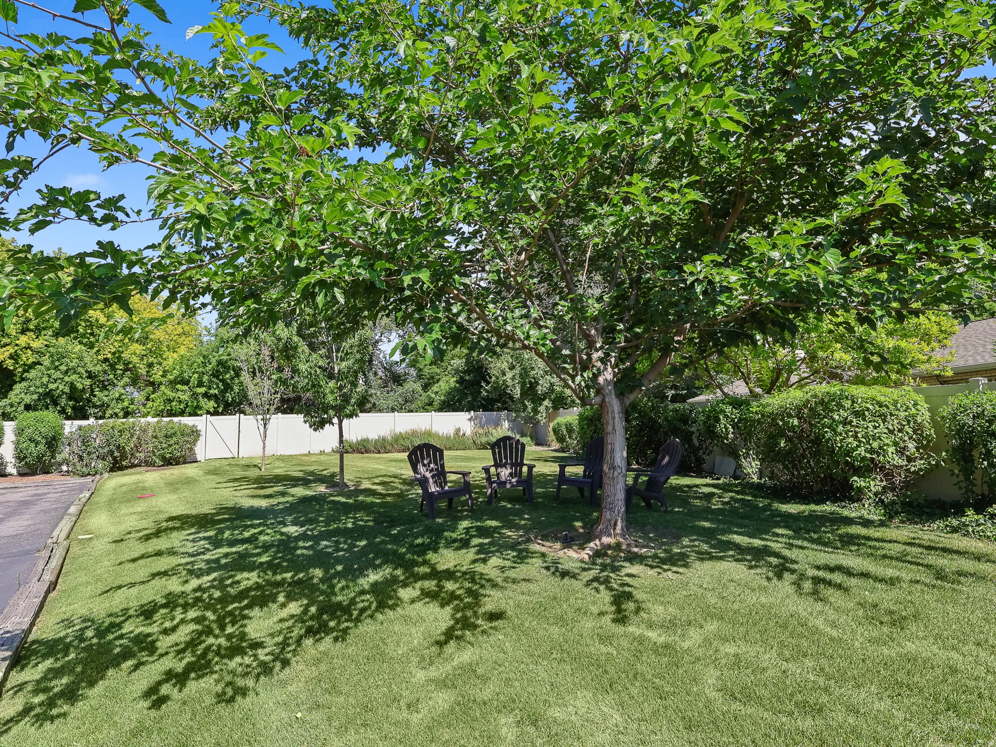 Expansive backyard featuring a mature shade tree, manicured lawn, and privacy fencing