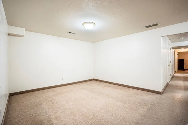 Flex room, Carpeted with a flush-mount ceiling light and recessed ventilation