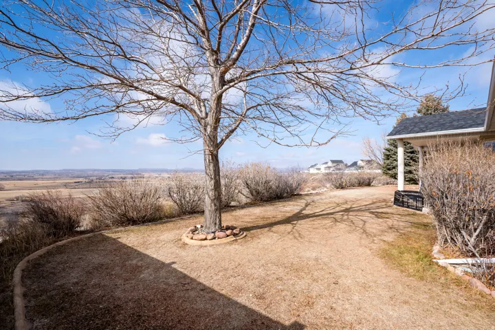 Expansive backyard featuring a mature deciduous tree with a stone-edged base, a sloped lawn, and a distant natural landscape