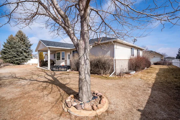 Spacious rear yard with a mature tree, bordered by a white picket fence