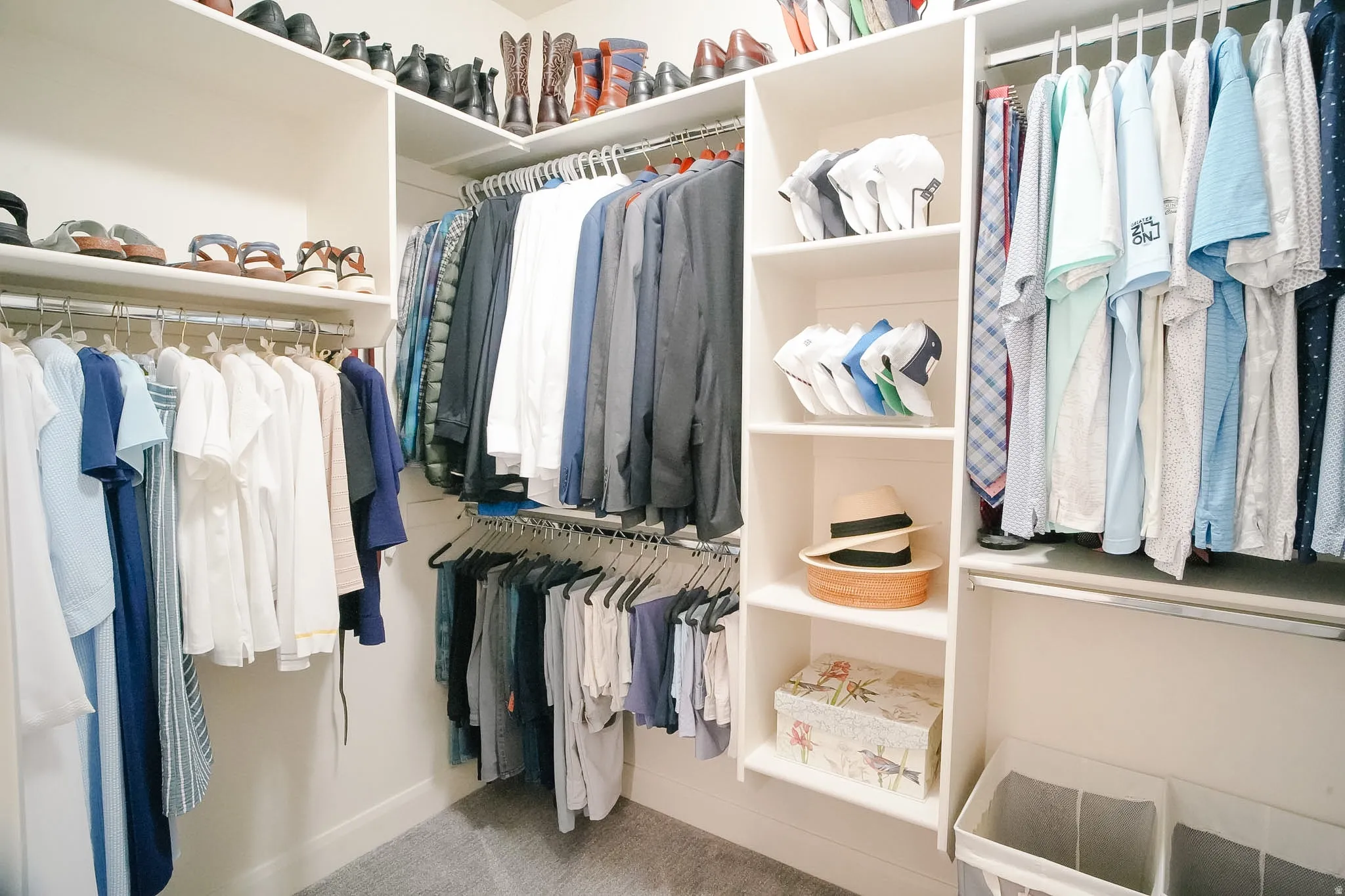 Walk-in closet featuring white built-in shelving, multiple hanging rods, and plush gray carpeting