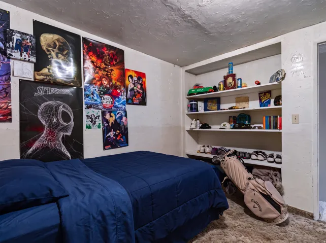 Built-in shelving unit with multiple display surfaces, textured walls, and carpet flooring