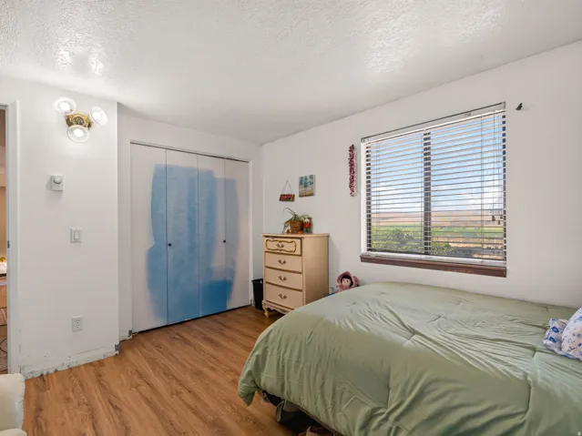 Room featuring wood-finish flooring, a window with horizontal blinds, and a built-in closet with bifold doors