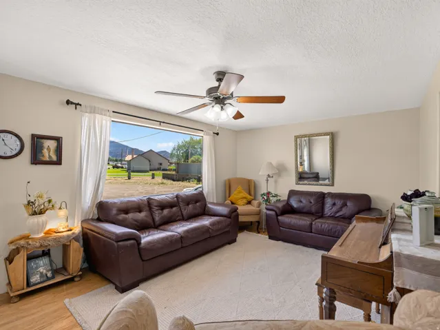 Spacious living area featuring light-toned walls, wood-finish flooring, and a ceiling fan with light fixture