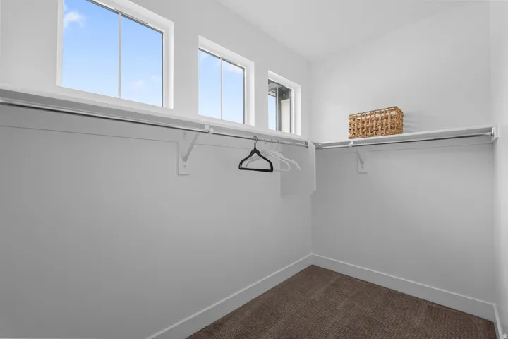 Walk-in closet featuring three transom windows, white shelving, hanging rods, and brown carpet flooring