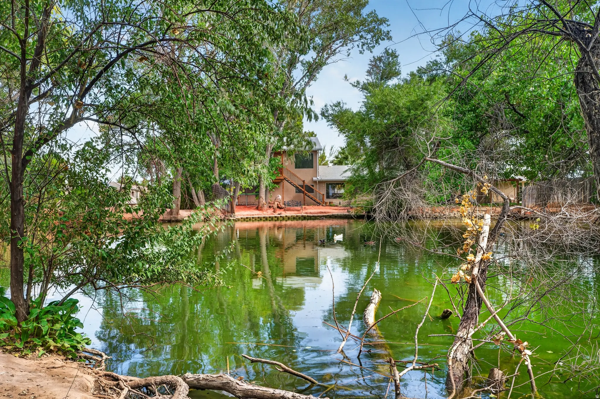 Lush green trees frame a tranquil pond with a multi-level structure visible across the water