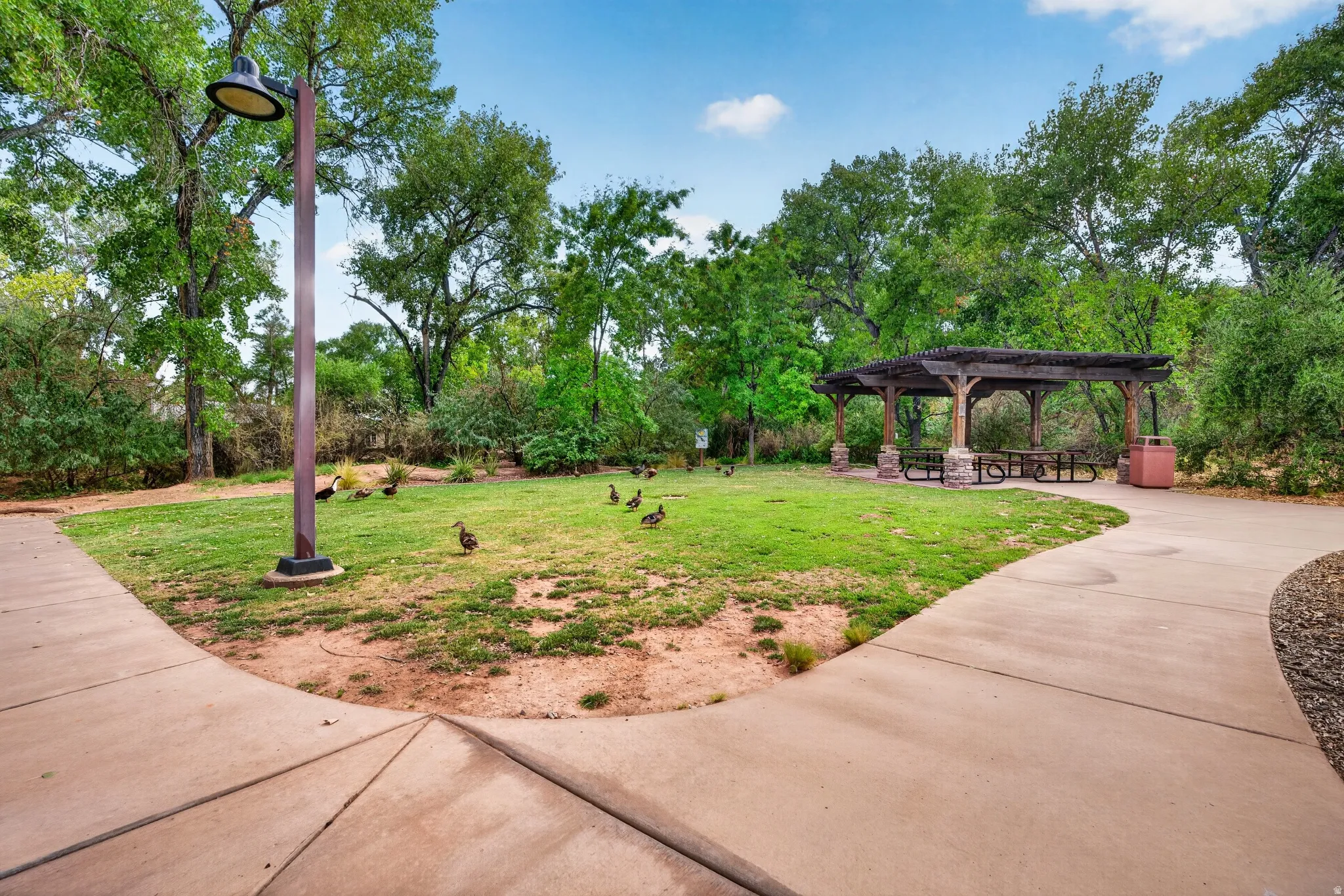 Manicured green space featuring a wooden pergola with stone accents, concrete pathways, mature trees, and a tall lamppost