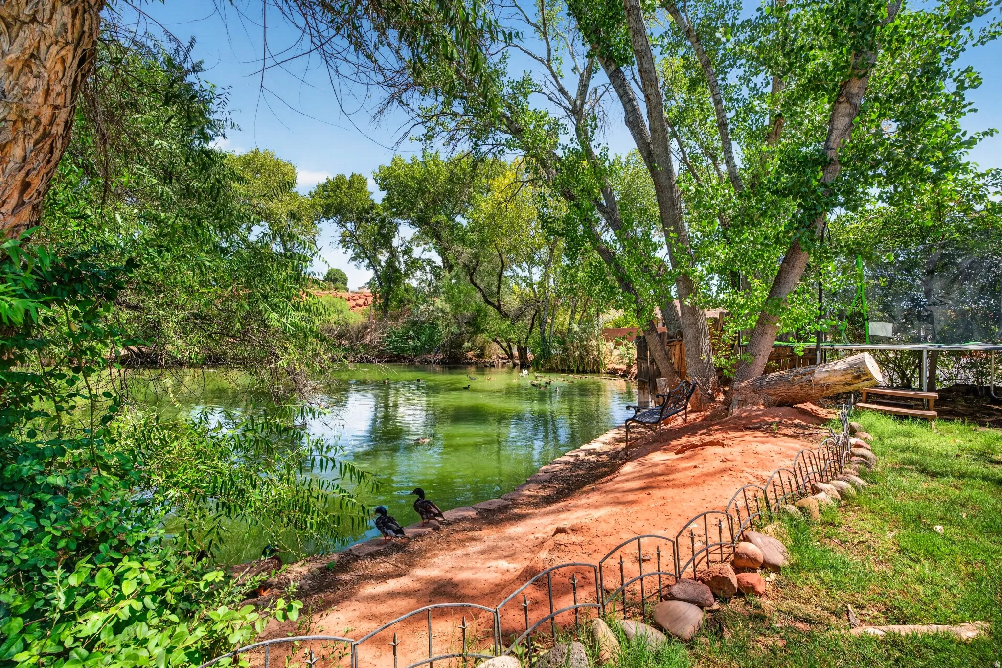 Water feature surrounded by mature trees, a red earth path, and a short decorative fence