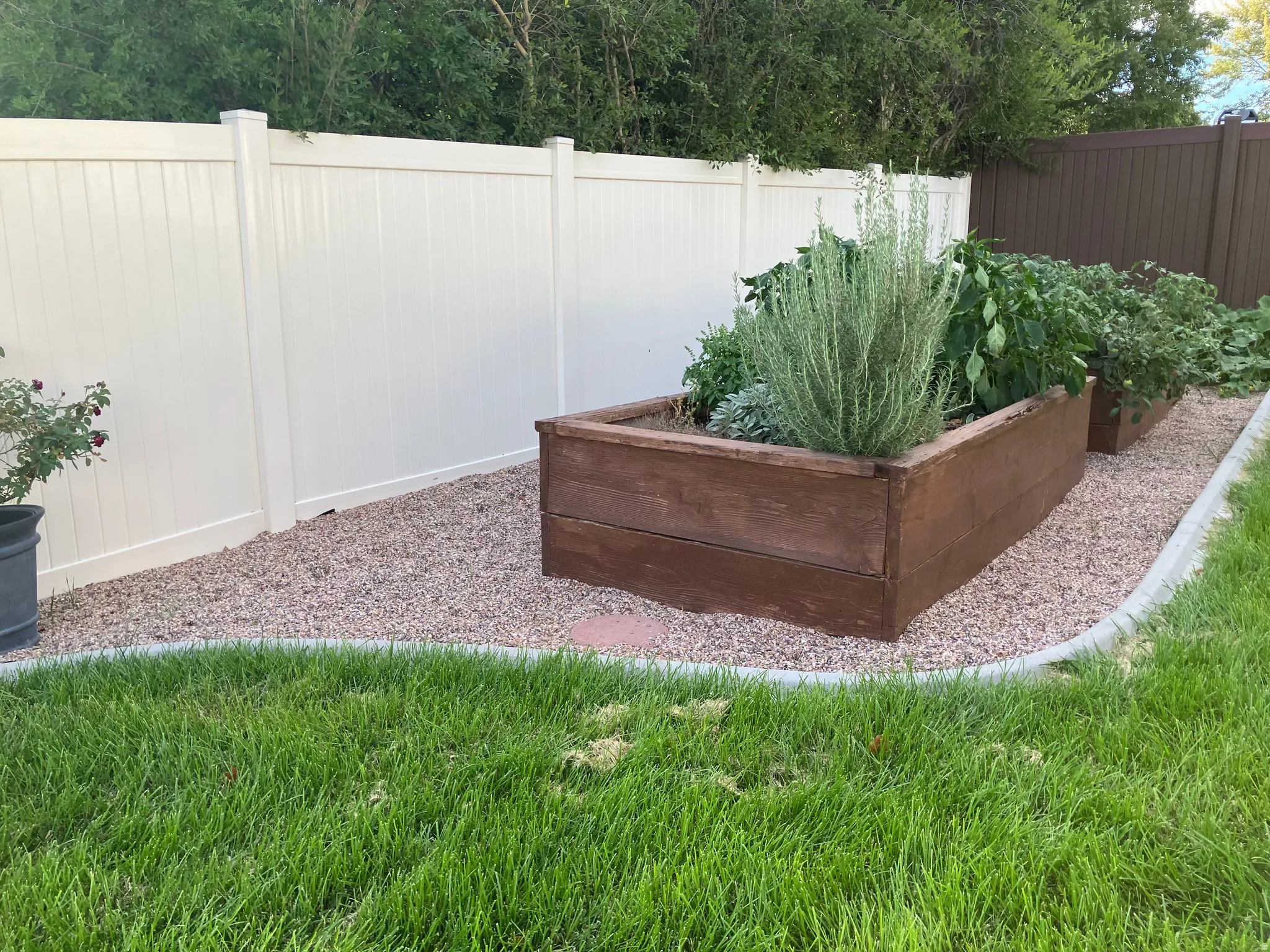 Manicured lawn with a gravel border, featuring raised garden beds, and a white privacy fence