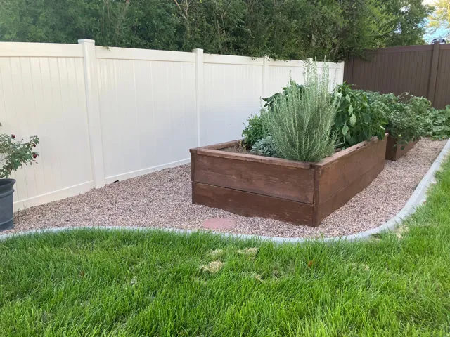 Manicured lawn with a gravel border, featuring raised garden beds, and a white privacy fence