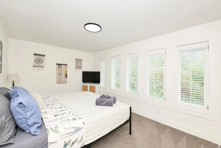 Spacious bedroom featuring multiple windows with louvered shutters, light gray carpeting, and a flush-mount ceiling light fixture
