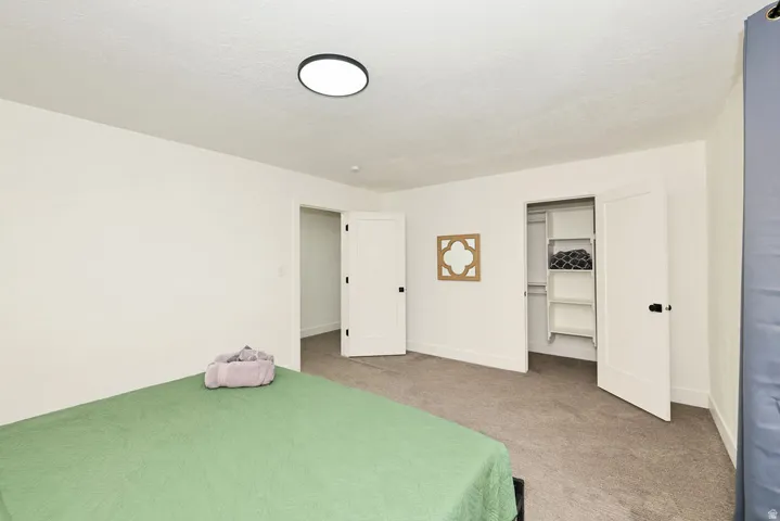 Carpeted room with white walls, a built-in closet with shelving, white trim, and a contemporary flush-mount ceiling light