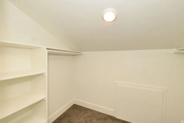 Built-in shelving and hanging rod storage within a carpeted area, illuminated by a recessed ceiling light
