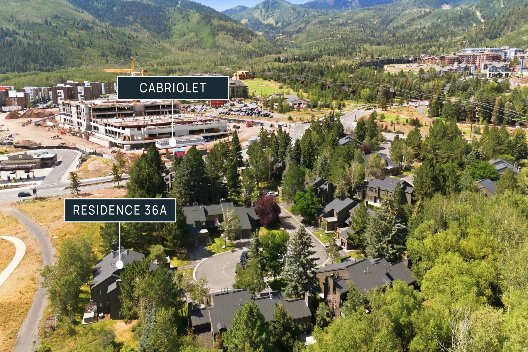 Aerial view showcasing a residential community nestled among mature trees
