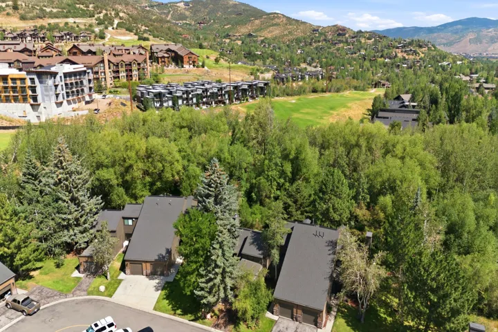 Mountainous landscape with lush green foliage surrounds residential properties