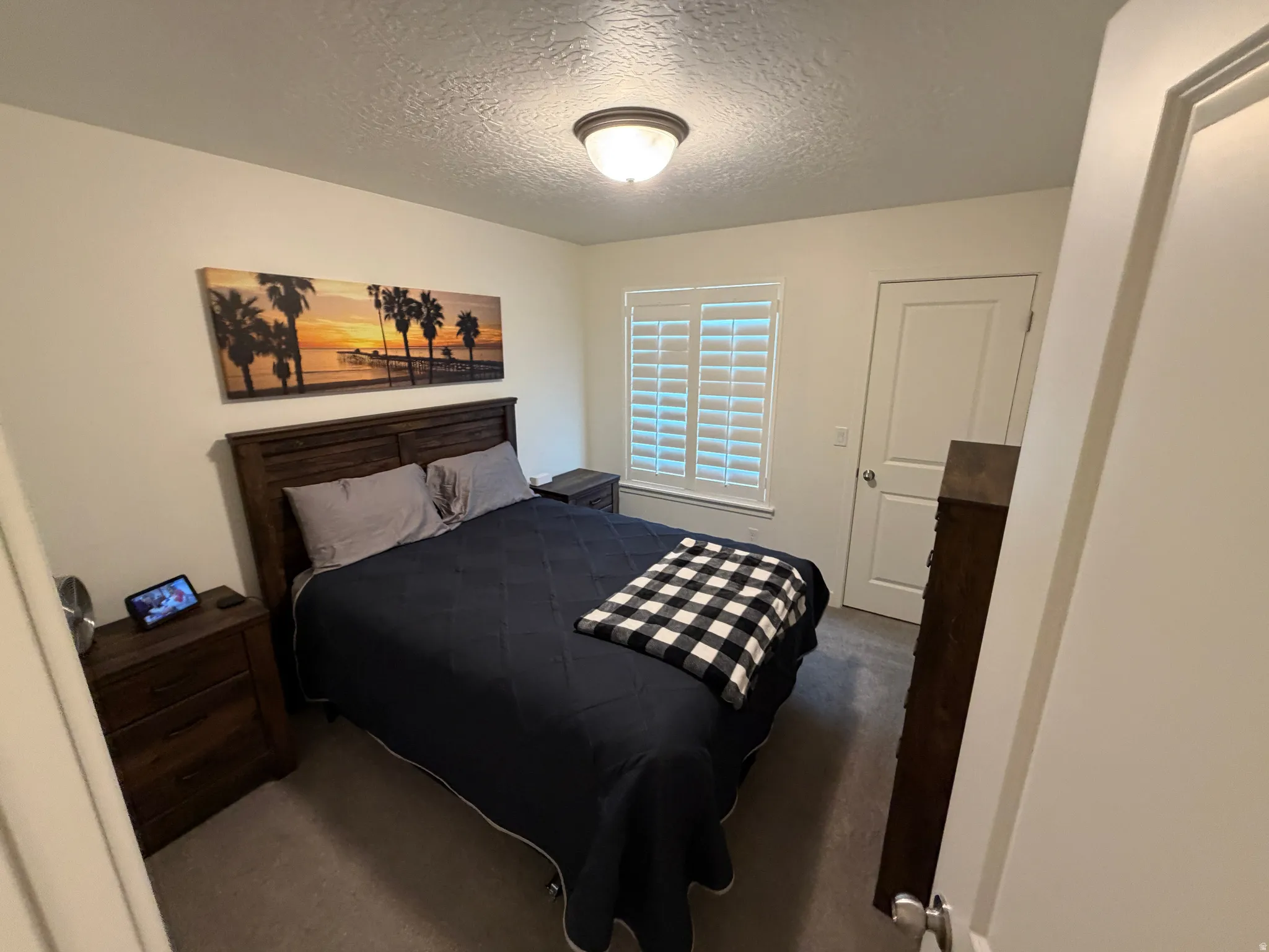 Carpeted bedroom featuring a window with plantation shutters, a solid interior door, and a flush-mount ceiling light fixture