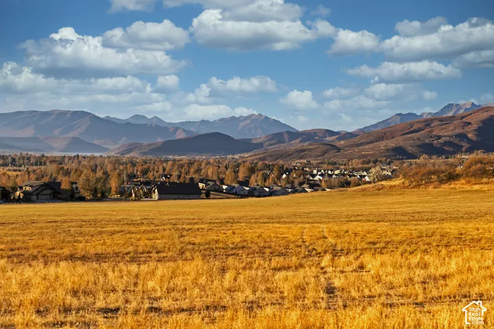 Expansive golden field with distant mountain range
