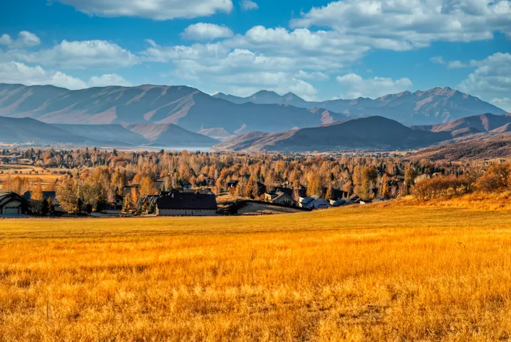 Expansive golden field with a backdrop of distant mountains