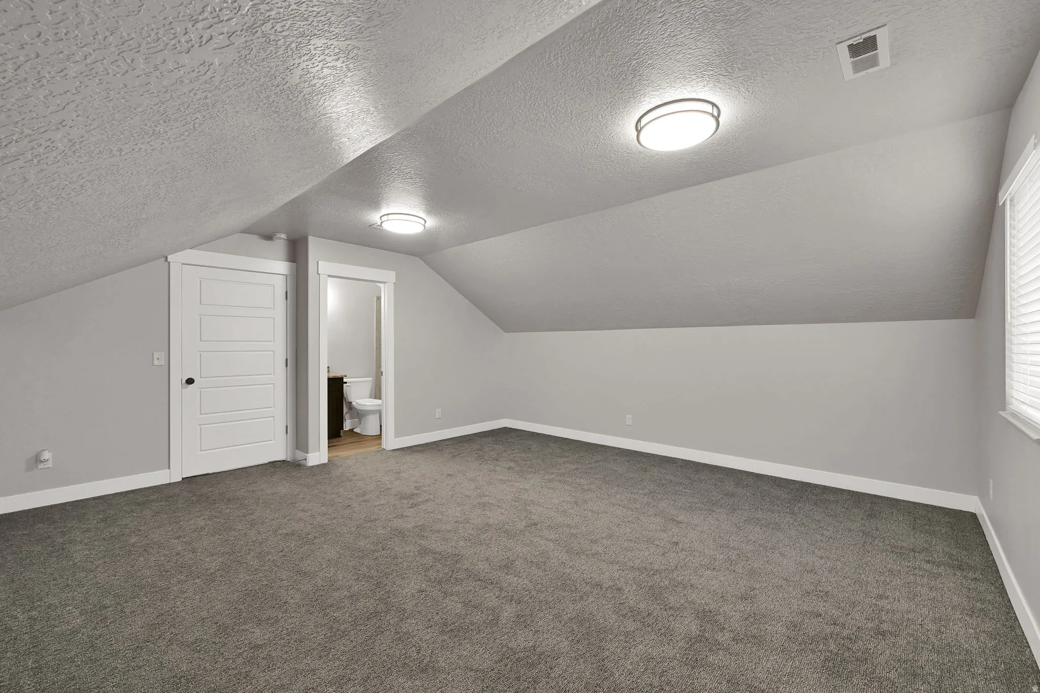 Spacious room featuring vaulted ceilings, neutral-toned carpeting, two flush-mount lighting fixtures, and a multi-paneled door