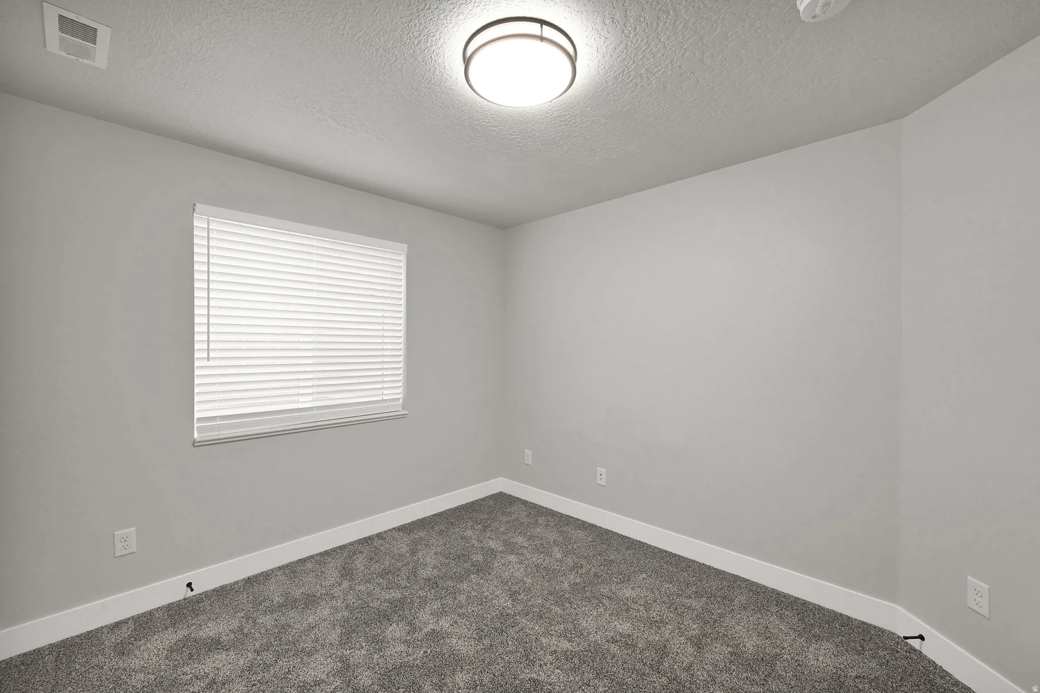 Recessed window with blinds, overhead flush-mount lighting, and neutral carpeting