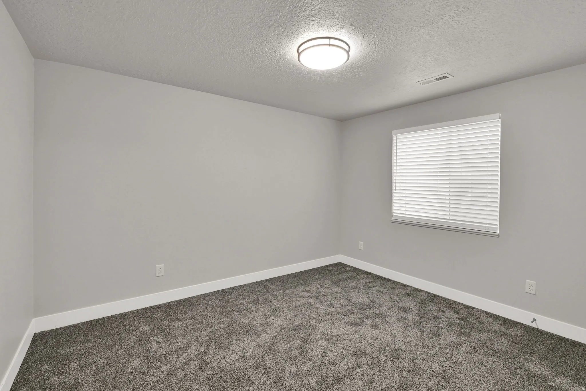 Neutral wall finishes, white trim, grey carpet, ceiling-mounted light fixture, and window with blinds