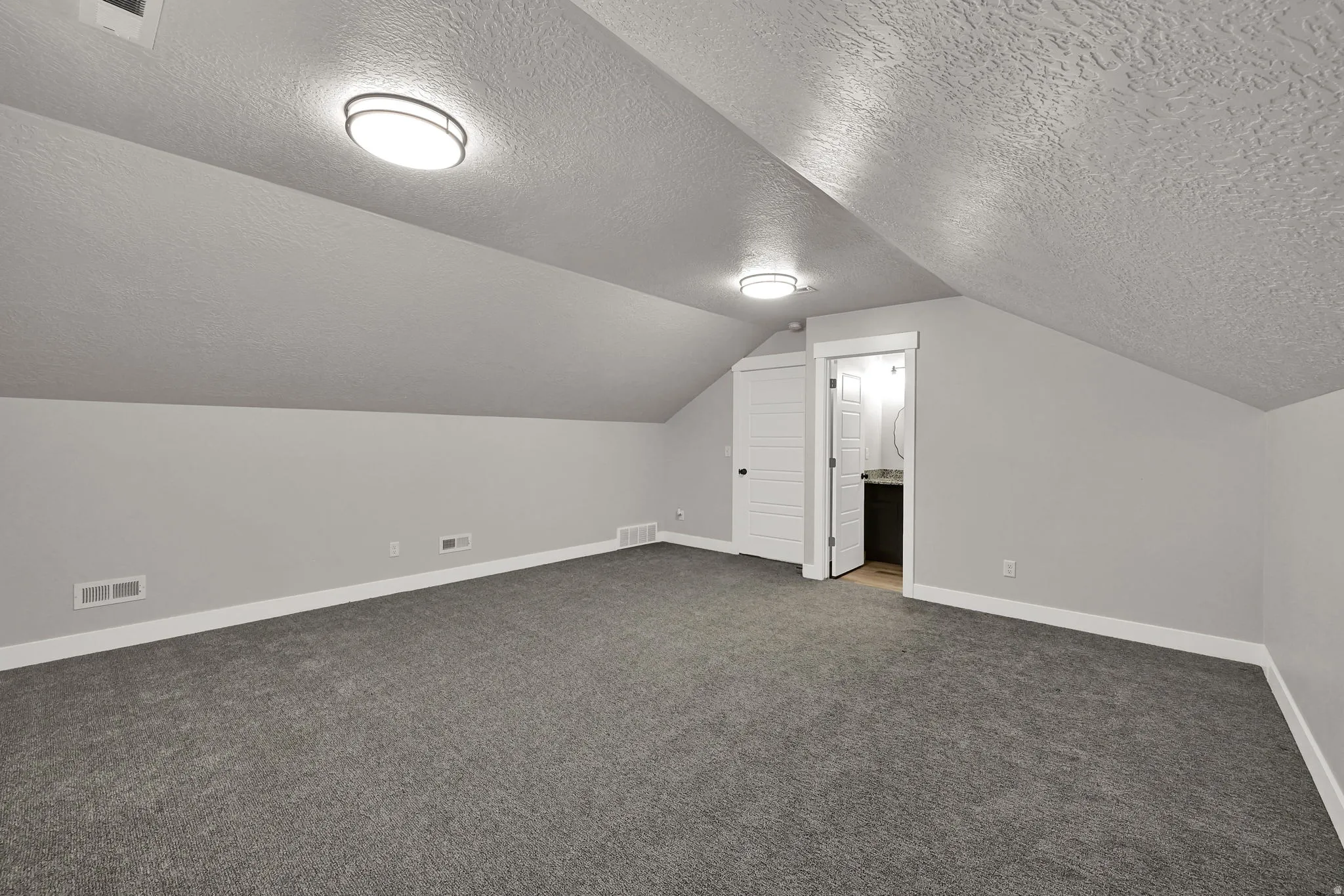 Spacious room featuring sloped ceilings, gray carpeting, and a white interior door