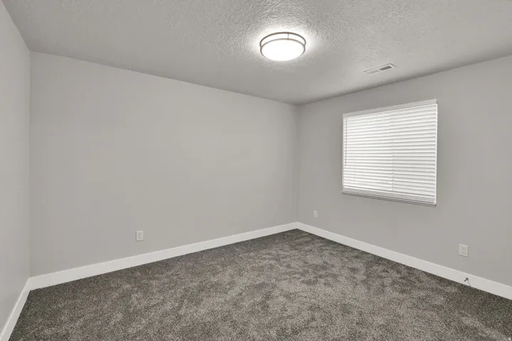 Neutral wall finishes, white trim, grey carpet, ceiling-mounted light fixture, and window with blinds