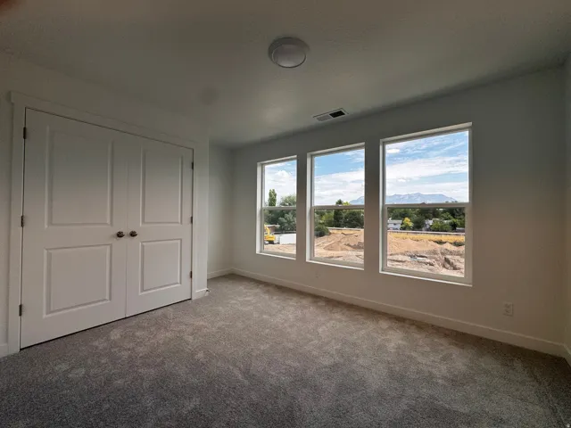 Spacious room featuring three rectangular windows, mountain scenery, light gray carpet, white baseboards, and a double-door closet
