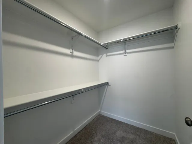Walk-in closet featuring white shelving, chrome hanging rods, and a neutral carpeted floor