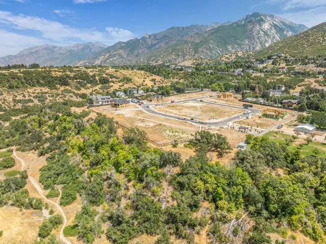 Aerial perspective showcasing a developing residential area with paved streets and established building sites