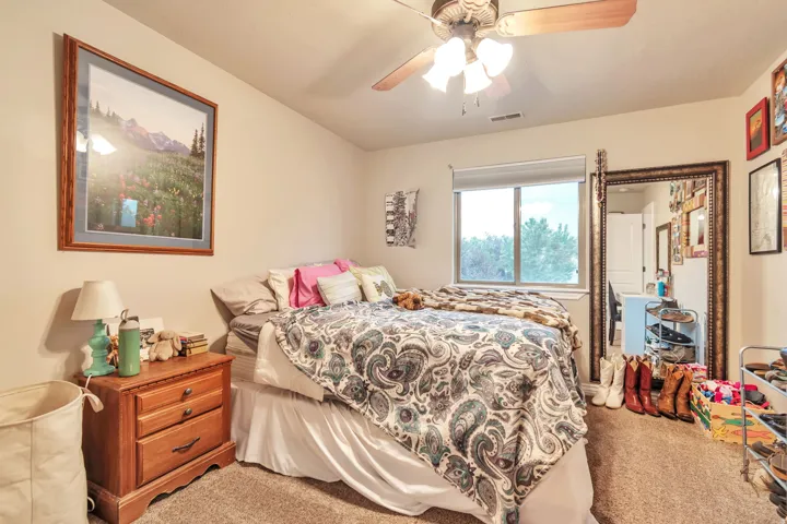 Carpeted bedroom featuring a large window with roller shades, a ceiling fan with integrated lighting, and a neutral wall color