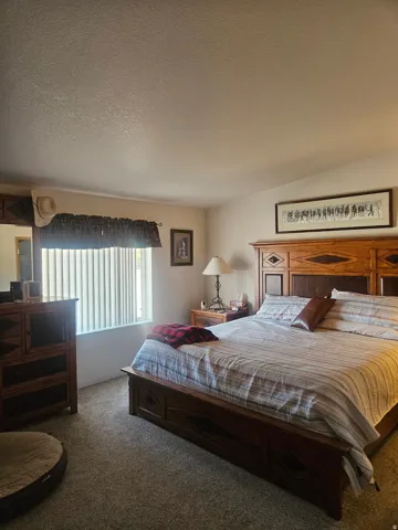 Carpeted room featuring a window with vertical blinds, light-toned walls, and a textured ceiling